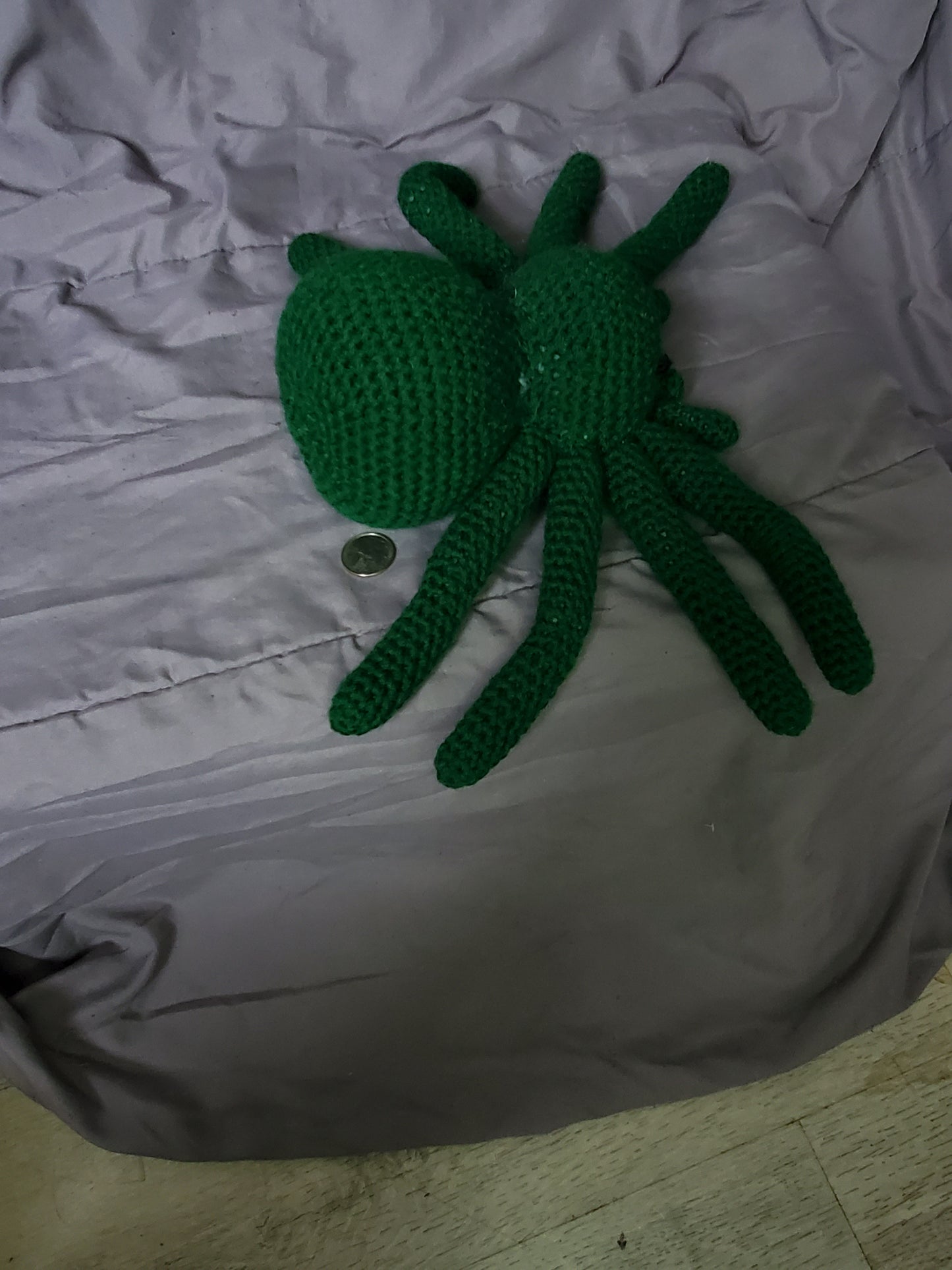 AHHHHH!!!! A Spider!!