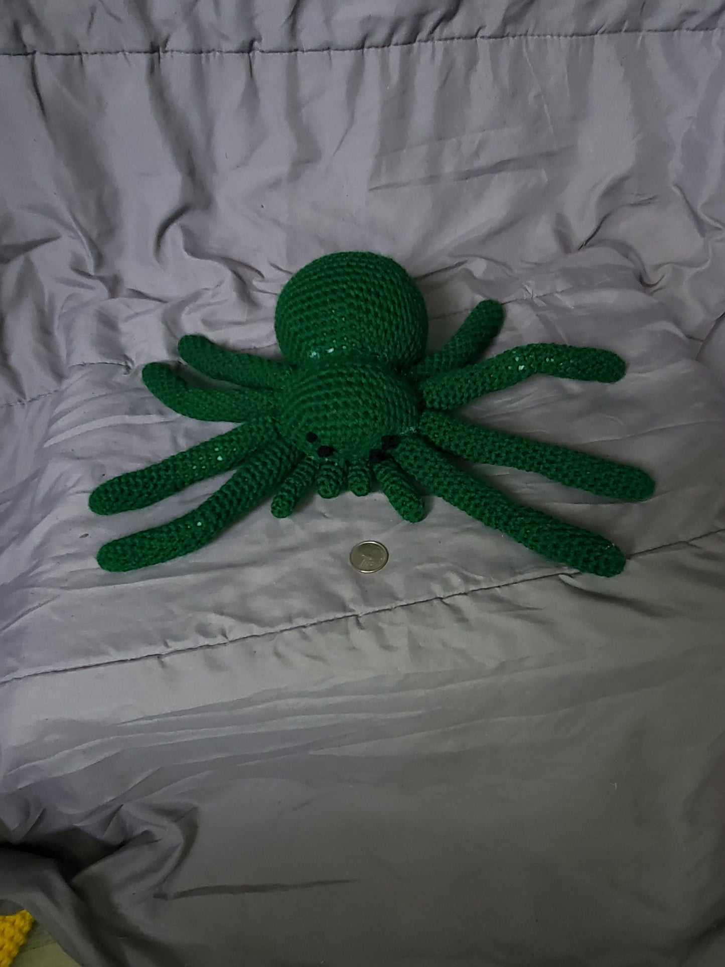 AHHHHH!!!! A Spider!!