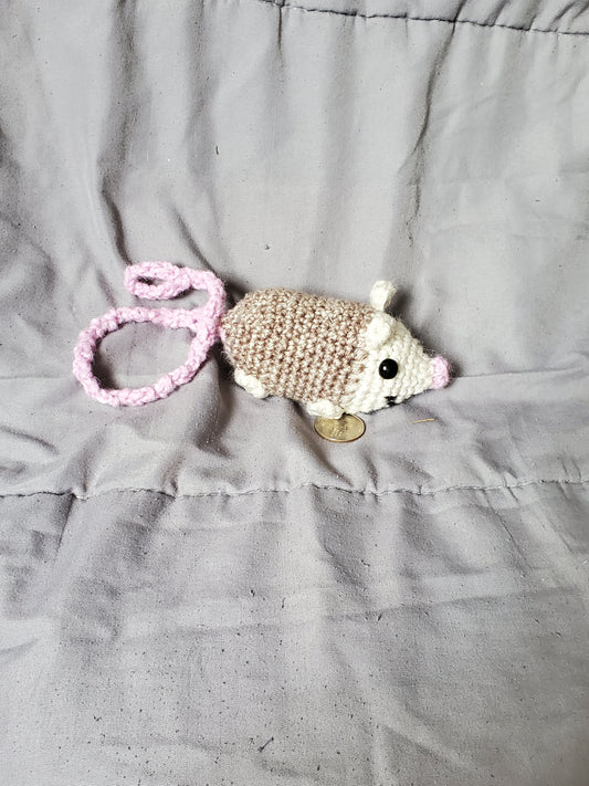 Swinging Opossum