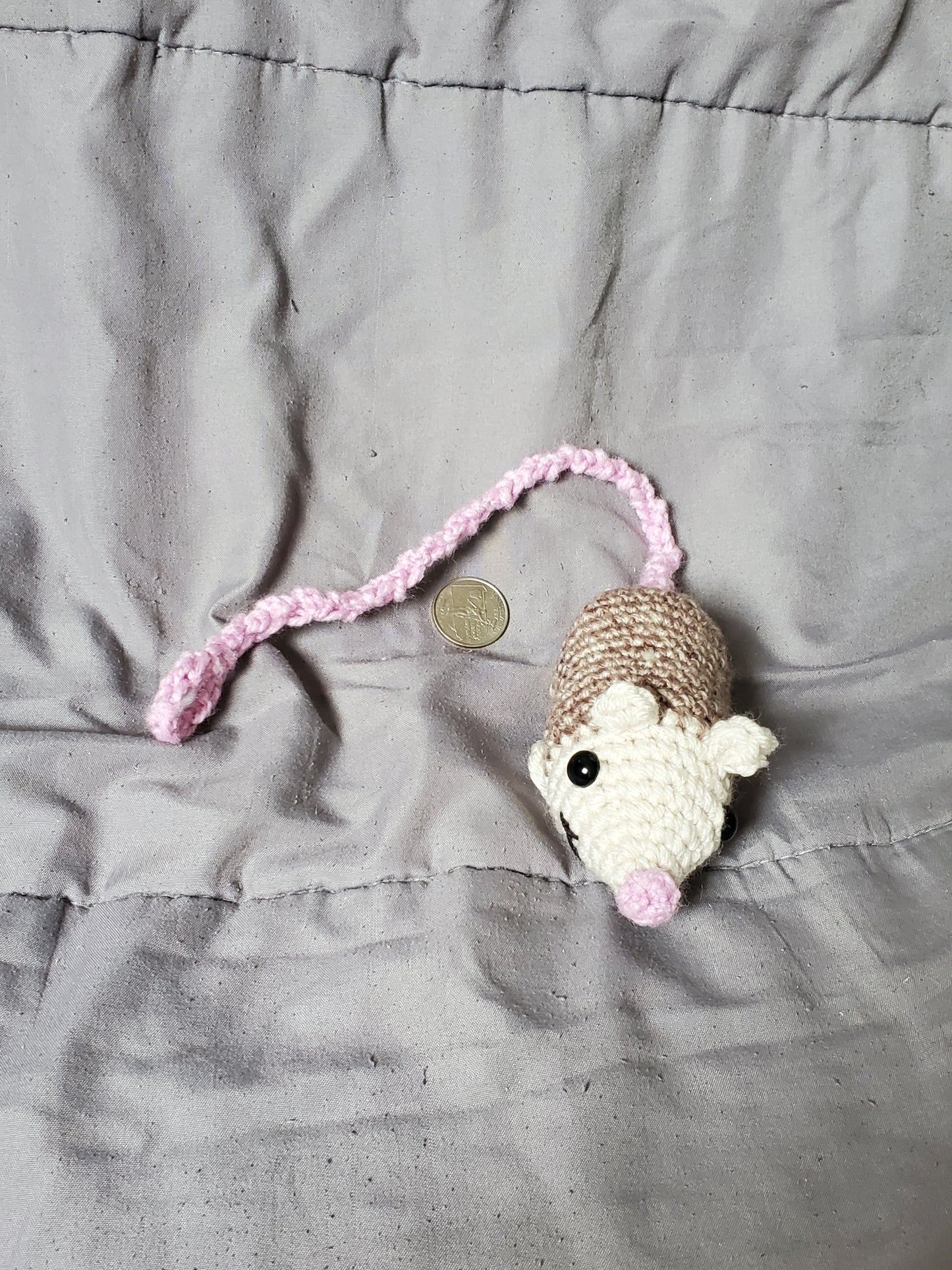 Swinging Opossum