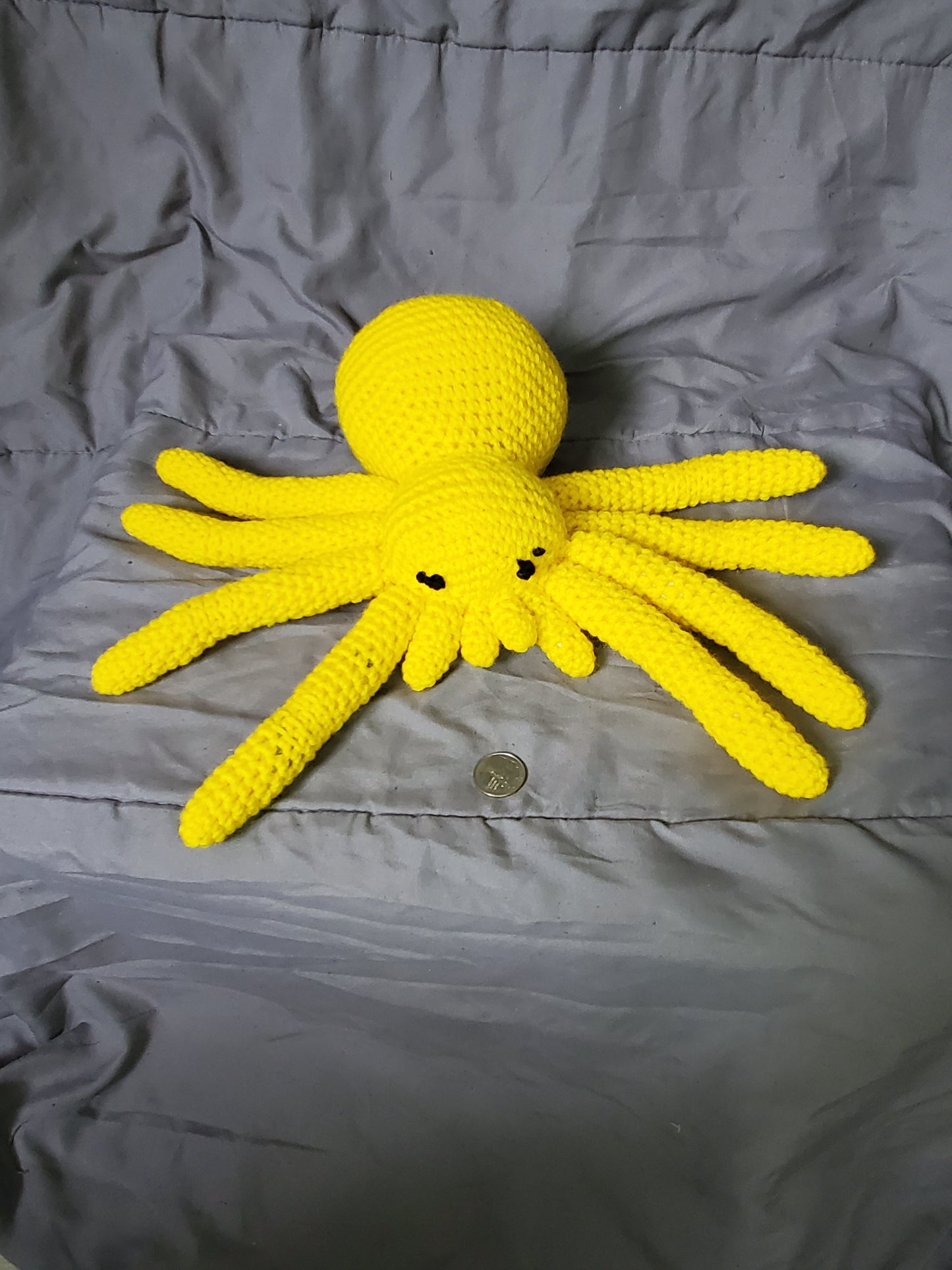 AHHHHH!!!! A Spider!!
